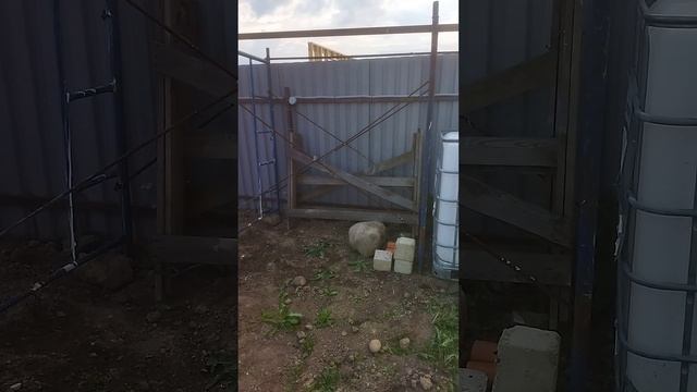 Мастерская мечты 146 день ЧАСТЬ 2 #short смотреть онлайн