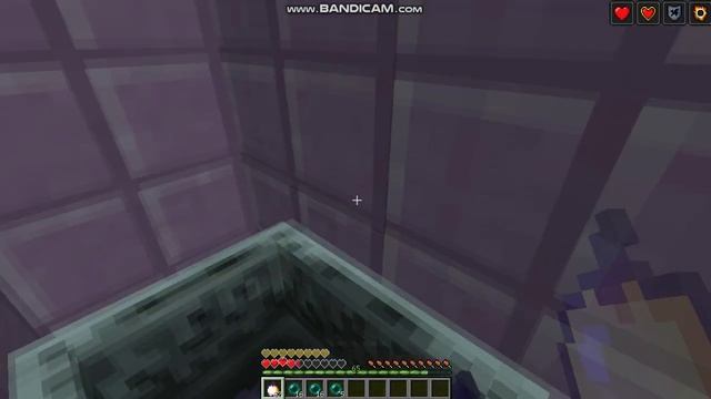 Ферма эндерменов, опыта и жемчуга края. смотреть онлайн