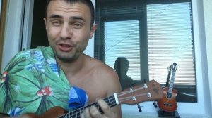Веселая песня про кота на укулеле !!!