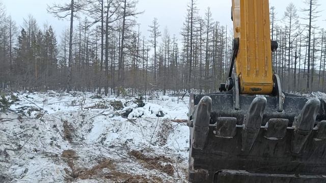 Расчистка территории от... ? Clearing the territory from... ?