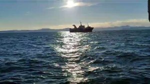 корабль прибыл в порт