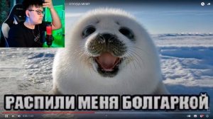 ПОЖАЛУЙСТА, РАСПИЛИ МЕНЯ БОЛГАРКОЙ — ОТКУДА МЕМ?