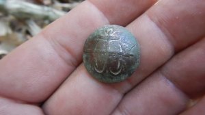 Экспресс коп в Крымском лесу