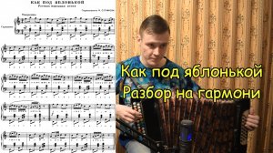 Как под яблонькой. Обработка И. Серикова ♫ Разбор на гармони ♫
