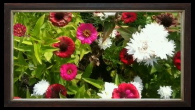 Старый, верный друг - В. Белянин, С. Русская, А. Аппин (2014) смотреть онлайн