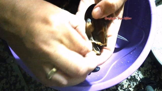 Собираем и готовим МИДИИ в Турции/как правильно почистить мидии. midye смотреть онлайн