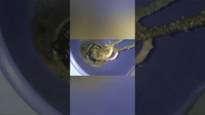 Подтекает бойлер термэкс, течёт из-под крышки водонагревателя