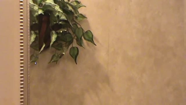 QCS "Basilica" face lathering смотреть онлайн