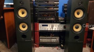 Wharfedale Diamond 8.4