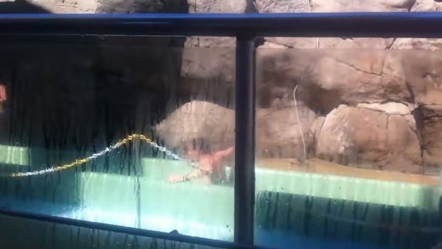 Троя(Турция) смотреть онлайн