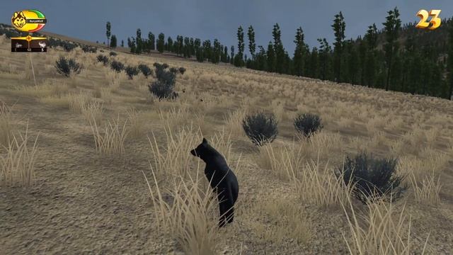 45 ФАКТОВ ОБ ИГРЕ | WolfQuest 2.7.3 смотреть онлайн