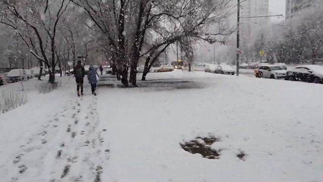 Москва, 9 утра, снегопад и французский бульдог на прогулке! смотреть онлайн