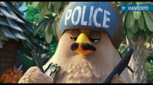 Angry birds: That's da sound of the police