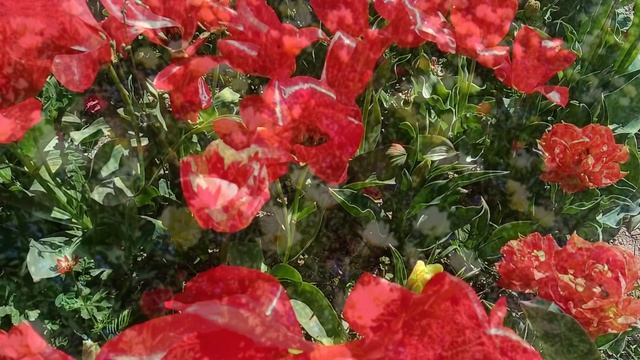 18.05.2021 Мой город.mp4