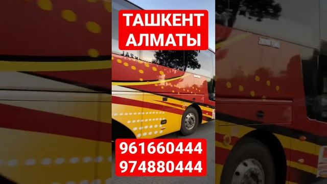 Tashkent Almaty Antonia #avtobus #ishonchli #migrantbus #ташкент #tashkent #автобус #bus #алматы