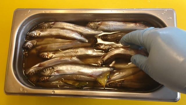МОЙВА ПРОВЕСНАЯ /capelin is suspended