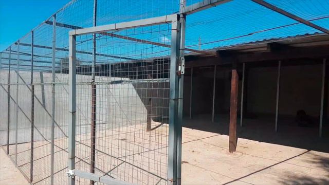 Обзор участка по Фряновскому шоссе, деревня Воря-Богородское смотреть онлайн