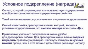 Оперантная дрессировка собак и апортировка