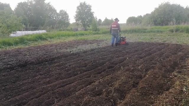 Культиватор Elitech КБ60Н, я зову его "КАБАН". Cultivator KB 60N,I call him "Boar". смотреть онлайн