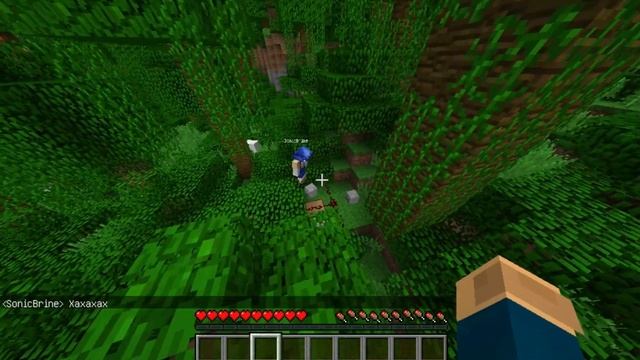 НИКОГДА НЕ ПРИЗЫВАЙ СОНИК БРИН В МАЙНКРАФТ В 3 ЧАСА НОЧИ РИТУАЛ ТРОЛЛИНГ ЛОВУШКА MINECRAFT смотреть онлайн