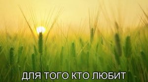 ТАНГО: У МЕНЯ ЕСТЬ ТАЙНА, TANGO SECRET