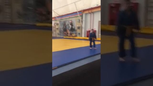 Дзюдо-Самбо смотреть онлайн