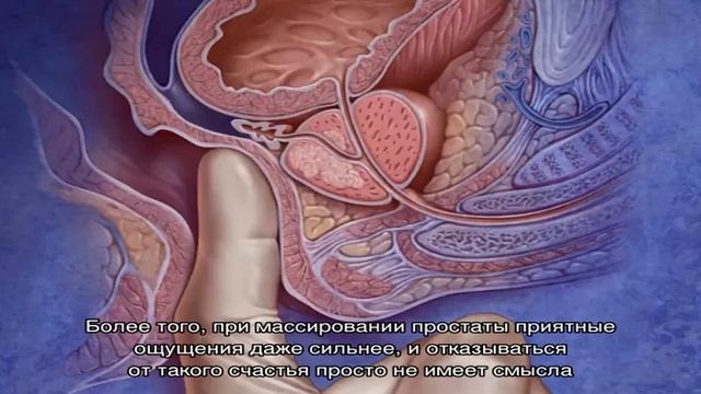 Все об эякуляции при массаже простаты: вопросы, которые касаются каждого