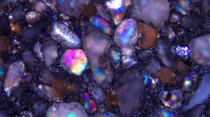 Поляризационный микроскоп Olympus BX53P