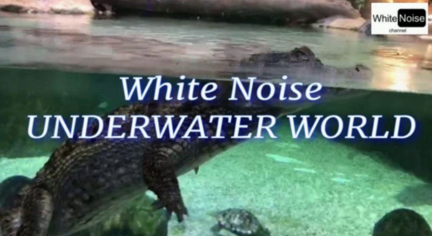 #БелыйШум Подводного Мира / Прекрасный Подводный Мир / #Whitenoise UnderwaterWorld​
