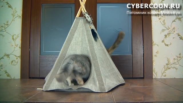 Индейцы племени Мейн Кун в родовом вигваме :-) смотреть онлайн