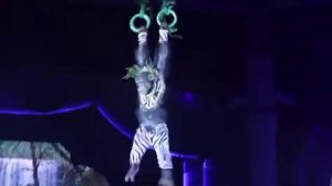 Цирк Гии Эрадзе в Самаре