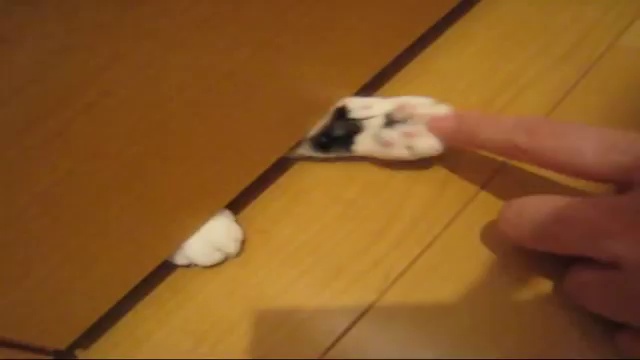 Лапки