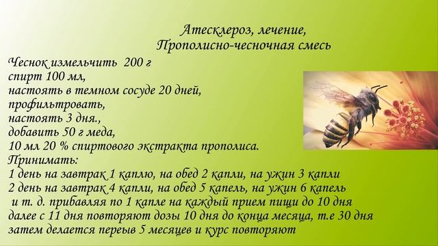 Лечение прополисом верхних дыхательных путей смотреть онлайн