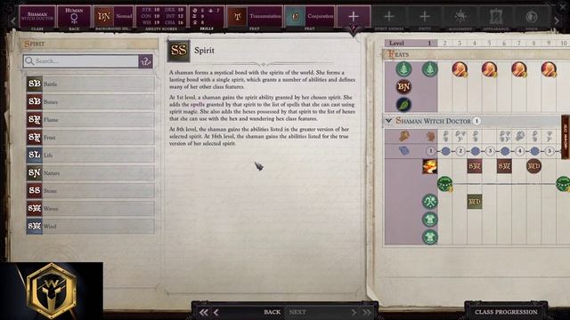 Pathfinder: WotR - Witch Doctor Shaman Starting Build - Beginner's Guide [2021] [1080p HD] смотреть онлайн