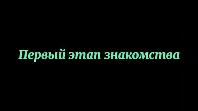 Знакомства❤️🐢