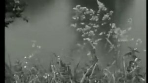 Christie: Yellow River