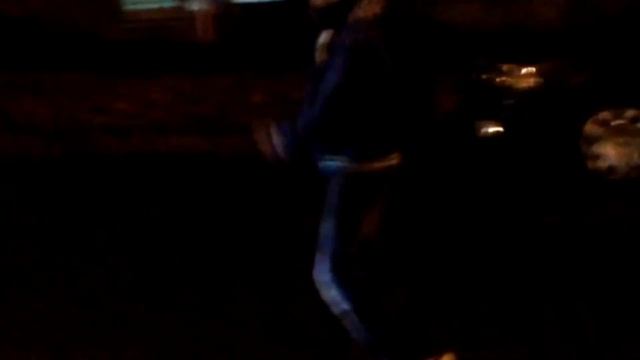 Филона Чуть не сбила машина! смотреть онлайн