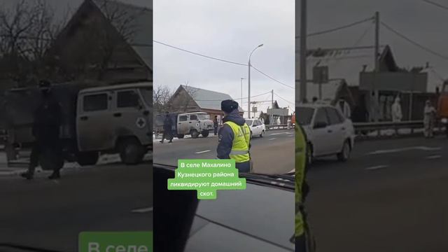 Пензенская область, идут по дворам, забирают скот. смотреть онлайн