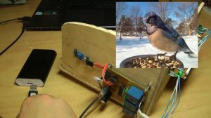 Фотоловушка на STM8 своими руками