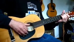 Hohner HW03 3/4 Sized Steel String Acoustic Guitar