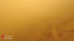 Пережила ли рыба зиму в пруду на участке/Ищем рыбу в своём пруду. Пруд на даче с рыбой и раками
