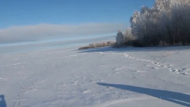 Охота на зайца, погоняли косого. смотреть онлайн