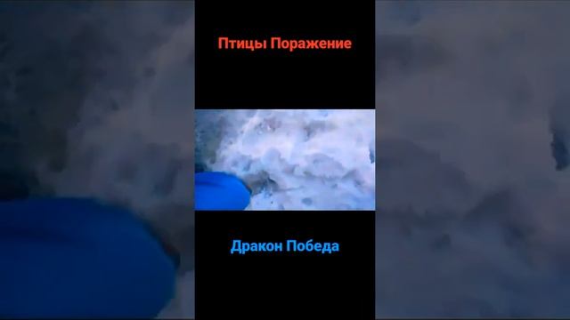 Казани Ломжинская Птицы Избил 12.03.2022г Стоматология