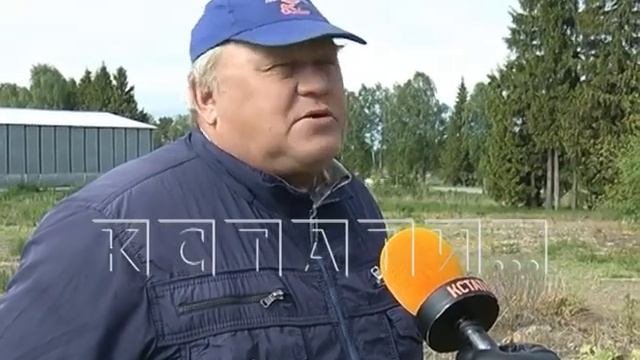 Самые ядовитые районы области назвали специалисты Россельхоза