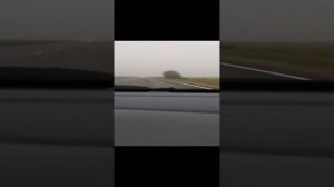 дельфин.mp4