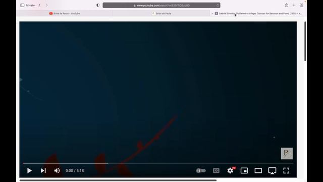 Bassoon Études | Bassoon Studies: Play-A-Long Video Series [Intro & Set Up] (2022) смотреть онлайн