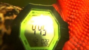 КАК ТАКИХ КУКАНИТЬ??? ТРОФЕЙНАЯ ПОДВОДНАЯ ОХОТА!!!