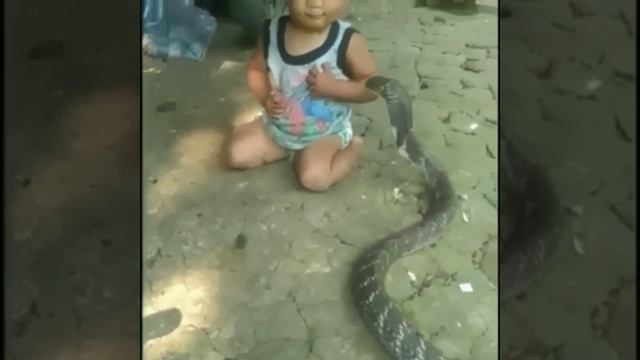 Будущий укротитель змей🐍