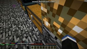 Minecraft Raid server LemonCraft 1.5.2