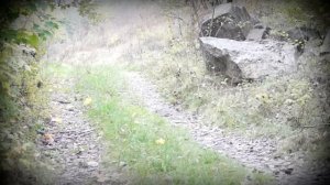 Yamaha TDM 900 легкое бездорожье / TDM 900 light off road